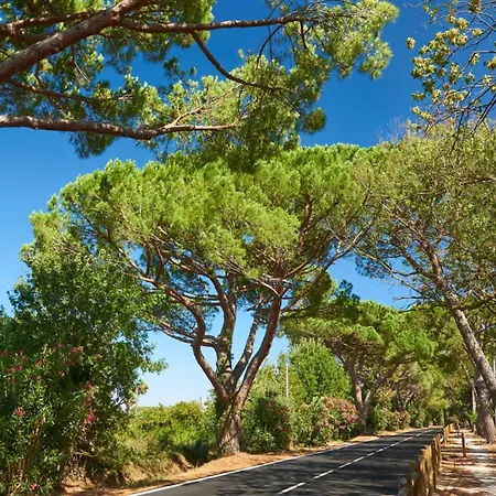 Tikayan Clau Mar Jo - Maeva