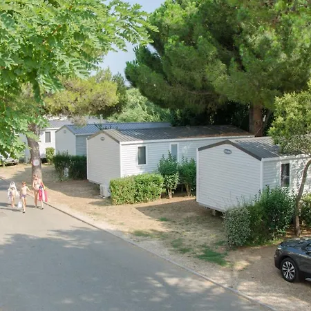 Tikayan Clau Mar Jo - Maeva 봄레미모사